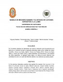 MANEJO DE MECHERO BUNSEN Y EL ESTUDIO DE CATIONES EXPUESTOS A LA LLAMA