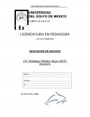 EDUCACION DE ADULTOS - TRABAJO