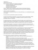 Anatomía, cintura escapular - resumen