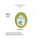 DERECHO COMERCIAL - BONOS O DEBENTURES