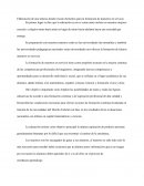 Elaboración de una síntesis donde rescate elementos para la formación de maestros en servicio