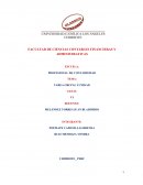 Investigacion formativa control interno