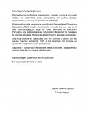 DESCRIPCIÓN PROFESIONAL, SOLICITUD DE EMPLEO