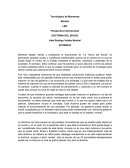 DOCTRINA DEL SHOCK - ENSAYO