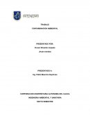 Trabajo contaminación ambiental