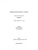 BASES DE DATOS BASICO