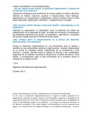 TAREA 2 DESARROLLO ORGANIZACIONAL