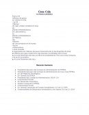 Coca-Cola, Estructura de la Empresa