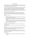 Tiempo atmosférico - Ensayo