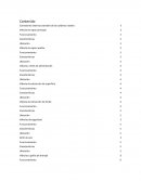 Conexiones Externas Calderas Navales