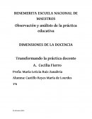 Observación y análisis de la práctica educativa, dimensiones de la docencia