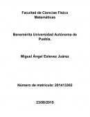 Individuos o personas - Sociologia