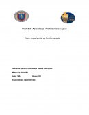 Título: Importancia de la microscopia