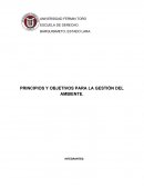 CUALES SON LOS PRINCIPIOS Y OBJETIVOS PARA LA GESTIÓN DEL AMBIENTE.