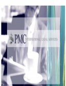 DIAGNOSTICO ADMINISTRATIVO A LA JUNTA DIRECTIVA DE PMCINTERNATIONAL LEGAL SERVICES