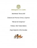 Manual de Ovicaprinos