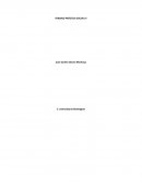 TRABAJO PRÁCTICA SOCIAL IV