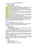 Cavidad Abdominal - Informe detallado
