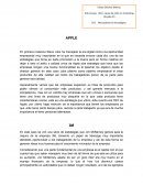 Politicas APPLE 3M