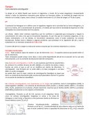 Sangre como elemento amortiguador