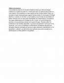 Como se da el Objeto del proyecto: