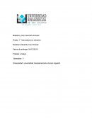 Intro derecho ensayo
