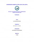 La Comunicación Efectiva. Ser Humano y su Contexto