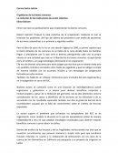 El gobierno de los bienes comunes