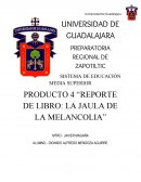 Cual es el nuevo Reporte de libro "La Jaula de la Melancolía"