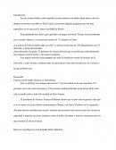 Ensayo sobre el Ataque Terrorista en Francia