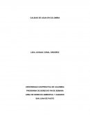 CALIDAD DE AGUA EN COLOMBIA - TRABAJO DE INVESTIGACIÓN