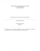Corrección de Errores de Concordancia en Textos Auténticos