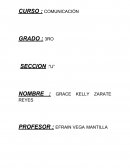 EL MISTERIO DE LA DAMA - ENSAYO