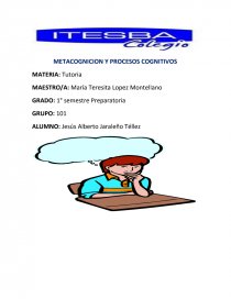 METACOGNICION Y PROCESOS COGNITIVOS. Página 1