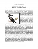 LAS BRUJAS FANTASTICAS