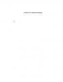 Anteproyecto molinos