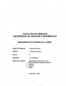 Evolucion de la pena