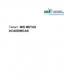Mis metas académicas, ensayo