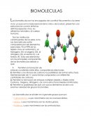BIOMOLECULAS Las biomoléculas son las encargadas de constituir físicamente a los seres vivos