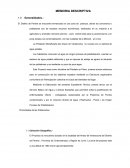 Memoria descriptiva - Agua potable