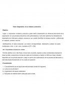 Diagnóstico de un sistema productivo