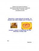 Elaboración y comercialización de quesillos de ahuyama como medio endógeno para fortalecer la economía y mejorar la alimentación del Liceo Bolivariano Cristóbal Colón[
