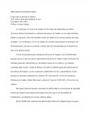 Principio de definitividad - Ensayo