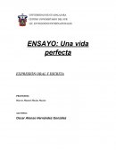 ENSAYO: Una vida perfecta