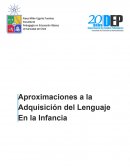 Aproximación a la adquisición del lenguaje