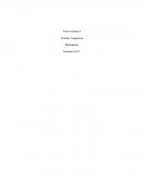 Práctica del curso de matemáticas