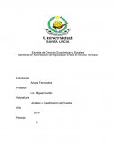 Análisis y Clasificación de Puestos