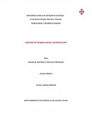 Analisis de doctrinas y politicas de proteccion