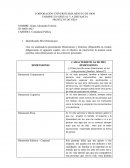 Dimensiones y Entorno