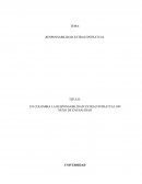 EN COLOMBIA LA RESPONSABILIDAD EXTRACONTRATUAL SIN NEXO DE CAUSALIDAD